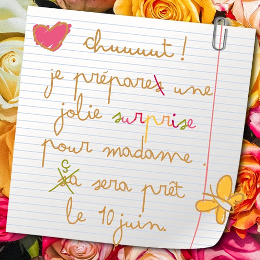 Coffret cadeau "Merci Maîtresse" (plusieurs choix disponibles) JIJOU®